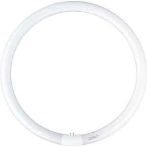 Eglo - G10Q - T9 Ring - Spaarlamp