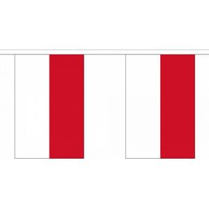 Luxe Indonesie vlaggenlijn 9 m