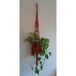 Cafuné-Macramé Pakket-Plantenhanger ""Fringe"" – Terracotta–95 cm–DIY Kit–Inclusief Macramé Koord, Houten Ring & Kralen – Perfect voor Beginners & Boho Interieur -Macrame Touw - Met Instructievideo - Complete set- Cadeau Idee - Plantenhanger maken