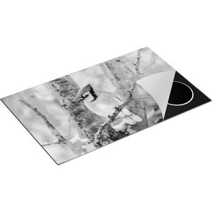 Chefcare Inductie Beschermer Blauwe Gaai Vogel in de Sneeuw - Zwart Wit - 85x50 cm - Afdekplaat Inductie - Kookplaat Beschermer - Inductie Mat