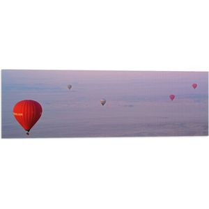 WallClassics - Vlag - Ballonvaarten in Verschillende Luchtballonnen - 90x30 cm Foto op Polyester Vlag