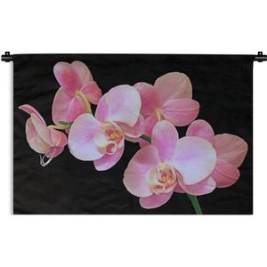 Wandkleed Planten op een zwarte achtergrond - Een close up van roze orchideeën op een zwarte achtergrond Wandkleed katoen 180x120 cm - Wandtapijt met foto XXL / Groot formaat!