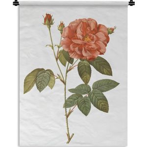 Wandkleed Vintage Bloemen - Vintage illustratie van een roos Wandkleed katoen 120x160 cm - Wandtapijt met foto XXL / Groot formaat!