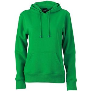 James and Nicholson Dames/dames Hooded Sweatshirt (Fern Green)