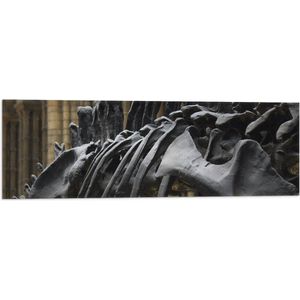 WallClassics - Vlag - Zwart Skelet van een Dino - 90x30 cm Foto op Polyester Vlag