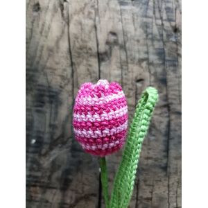 Knuffelsenzo - Tulp - Gemêleerd roze tulp - Kunstbloem - Gehaakt - Kado - Geschenk - Boeket