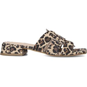 STEFANO LAURAN Karin Slippers - Dames - Bruin - Maat 37
