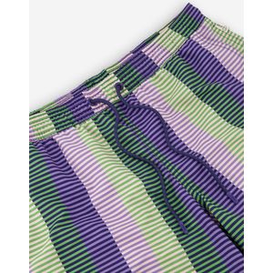 A-dam Purple Stripe - Zwembroek - Boxershort - Zwemshort - Gemaakt van Gerecyclede Flessen - Vegan - Heren - Mannen - Groen - L