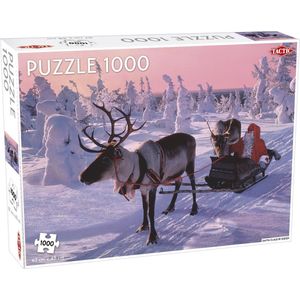 Santa Claus in Sleigh - 1000 stukjes