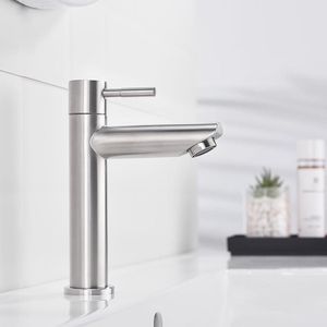 Fonteinkraan - Gasten toilet koudwaterkraan - Eengreepsmengkraan wastafel - Geborsteld roestvrij staal