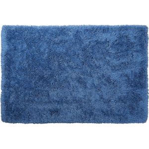 CIDE - Shaggy Vloerkleed - Blauw - 140 X 200 cm - Polyester