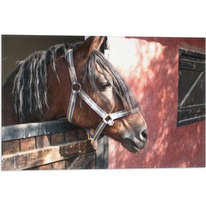 WallClassics - Vlag - Paard bij Staldeur - 60x40 cm Foto op Polyester Vlag