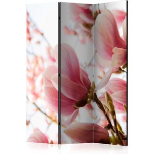 Kamerscherm - Scheidingswand - Vouwscherm - Pink magnolia [Room Dividers] 135x172 - Artgeist Vouwscherm