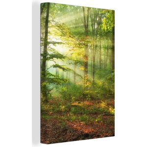 Canvas - Canvas natuur - Zon - Bladeren - Boom - Muurdecoratie - Kamer decoratie - 20x30 cm