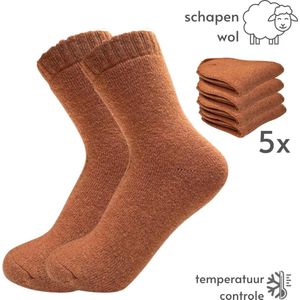 Set Thermosokken dames - 5 paar Warme Sokken met Wol - maat 36-40 - Bruin