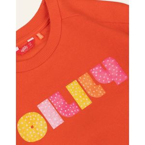 Hooray sweater 17 cherry tomato with artwork Orange: 164/14yr