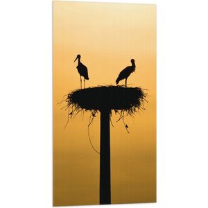 WallClassics - Vlag - Silhouet van Ooievaars op het Nest - 50x100 cm Foto op Polyester Vlag