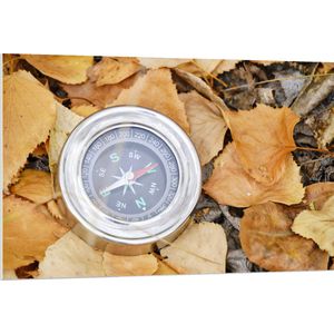 WallClassics - PVC Schuimplaat- Traditioneel Kompas op Stapel Herfstbladeren - 120x80 cm Foto op PVC Schuimplaat