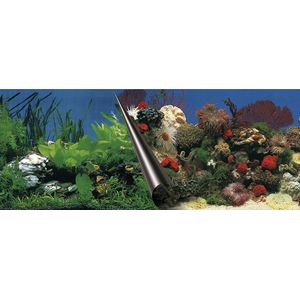 Aqua Della - Aquariumdecoratie - Vissen - Poster Achterwand Stone & Coral 60x30cm - 1st