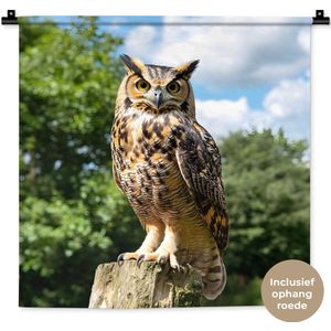 Wandkleed 60x60 cm - Wanddoek Uil - Boomstronk - Bos - Lucht - Wandtapijt - Wandkleden