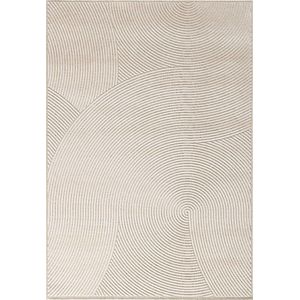 Vloerkleed Acsento Chiara 1012 Ivory - maat 240 x 340 cm