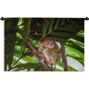 Wandkleed Junglebewoners - Filipijns spookdier tussen de groene bladeren Wandkleed katoen 60x40 cm - Wandtapijt met foto