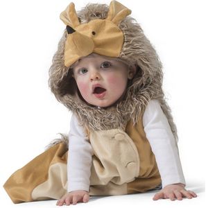 Baby carnavalskostuum | Egel kostuum | One Size