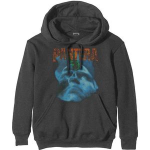 Pantera - Far Beyond Driven World Tour Hoodie/trui - L - Grijs