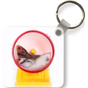 Sleutelhanger - Uitdeelcadeautjes - Hamsters in een wiel - Plastic