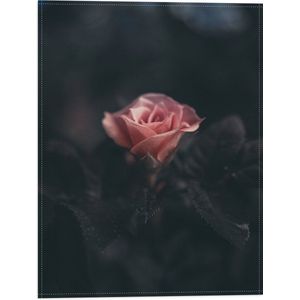 WallClassics - Vlag - Donkere Roos - 30x40 cm Foto op Polyester Vlag