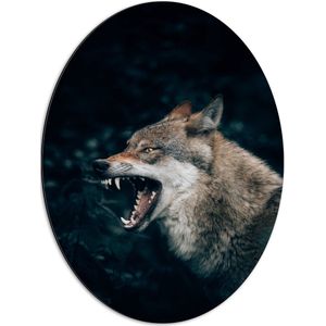 WallClassics - Dibond Ovaal - Grote Boze Wolf - 51x68 cm Foto op Ovaal (Met Ophangsysteem)