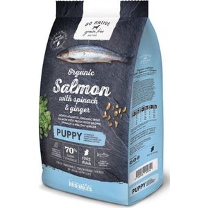 Go Native Grain Free Dog Puppy Salmon with Spinach & Ginger 12 kg - Hond