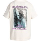 Quiksilver Back Flash T-shirt Met Korte Mouwen Beige L Man