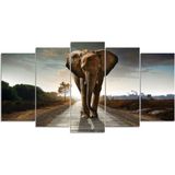 SEOS Shop ® Diamond Painting Pakket Safari Olifant - 5 Luik - Full - Vierkant - Dotz