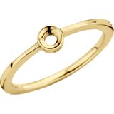 Melano Twisted Ring Petite Goud