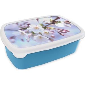 Broodtrommel Blauw - Lunchbox - Brooddoos - Bloemen - Sakura - Tak - 18x12x6 cm - Kinderen - Jongen
