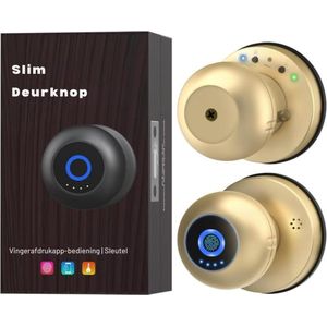 Slimme Deurknop Met Slot Vingerafdruk Biometrische Sleutelloze Ingang Elektronische Digitale Bluetooth App Bediening WiFi Deurslot Voor Slaapkamer Interieur Appartement Garage Voordeur Goud