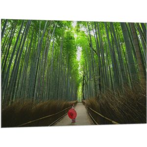 WallClassics - Vlag - Bamboe Bomen met Japanse Paraplu - 100x75 cm Foto op Polyester Vlag