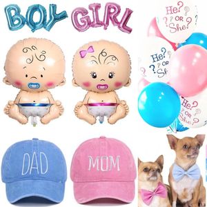17-delige genderreveal set Boy or Girl - genderreveal - babyshower - baby - geboorte - zwanger - strik - cap - ballon