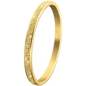 Lucardi Meisjes Bangle met plating - Ovaal - Kristal - Moederdag Cadeautje - Staal - Goudkleurig