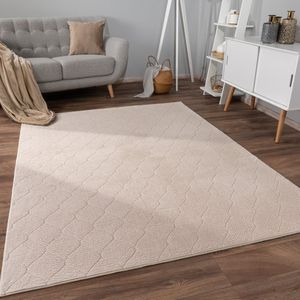 Paco Home Vloerkleed Woonkamer Laagpolig Patroon Scandinavisch Boho Patroon Geometrisch 200x280 cm