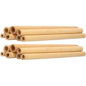 16x Duurzame bamboe houten rietjes 20 cm - Milieuvriendelijk en biologisch - drinkrietjes