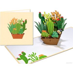 Popcards popupkaarten – Verjaardagskaart Bloeiende Cactussen en Vetplanten Vriendschap Verjaardag Felicitatie Beterschap pop-up kaart 3D wenskaart