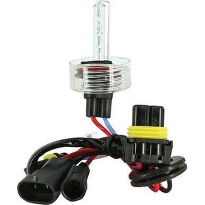 Evo Formance Xenonlamp H11 12 Volt 35 Watt 6500k Wit Per Stuk