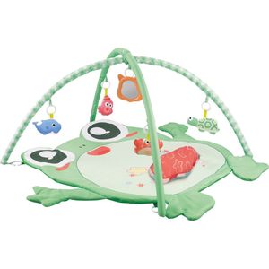 Eco Toys Kikker Activity Gym Speelkleed HC506649