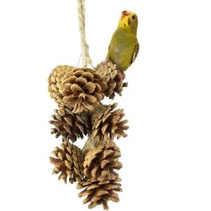 Natuurlijke speelslinger dennenappels - Speeltjes - Benodigdheden - Vogelspeelgoed - Agapornis roseicollis