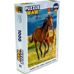 Puzzel Paarden - Gras - Dieren - Landschap - Natuur - Legpuzzel - Puzzel 1000 stukjes volwassenen