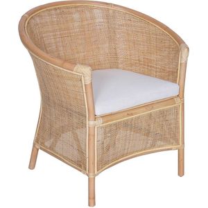 Rotan fauteuil Sumatra natuur