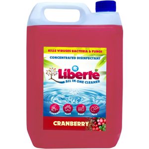 All in One Cleaner Cranberry 5 Liter - Desinfectie - Dieren - Huis - Auto - Kantoor - Schoonmaakmiddel