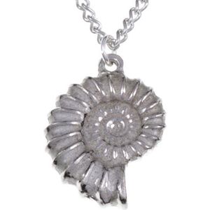 Ammonite Hanger ,fossiel sieraden